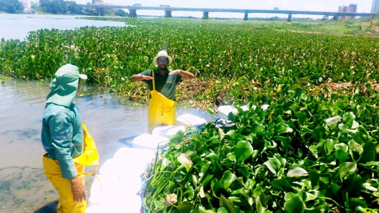 WhatsApp Image 2017-07-30 at 22.28.55