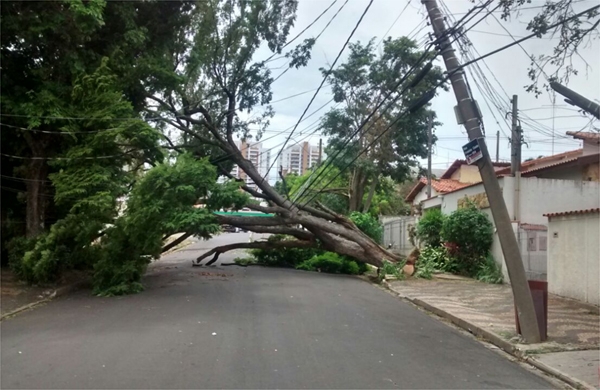 WhatsApp Image 2017-08-06 at 18.42.55