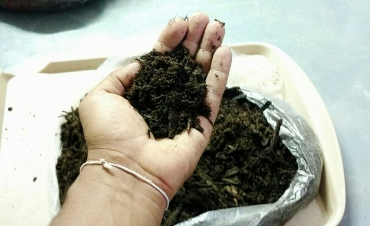 WhatsApp Image 2017-08-13 at 22.01.19